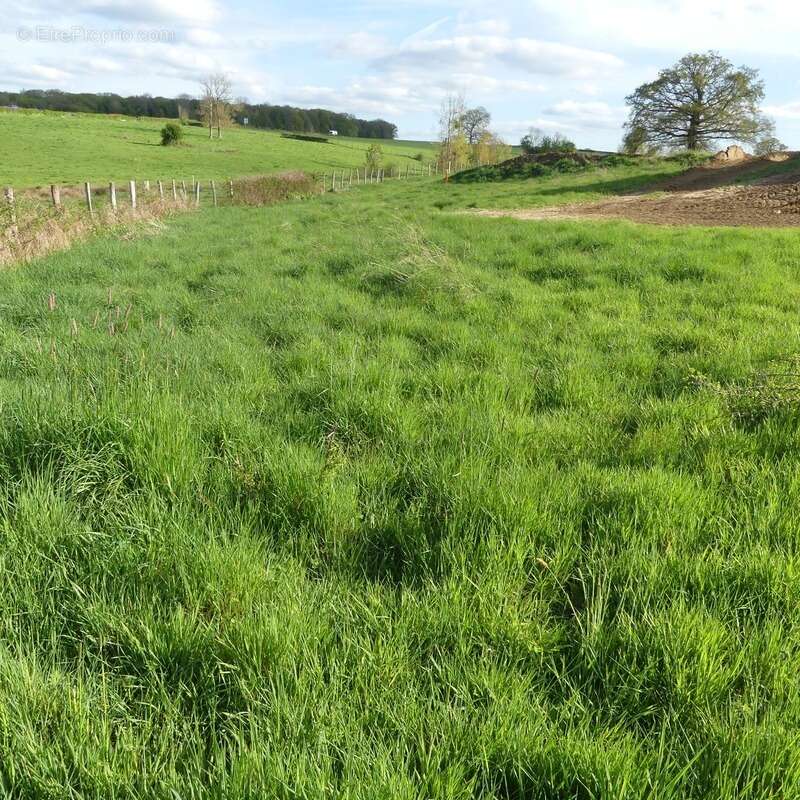 Terrain à SEMUR-EN-AUXOIS