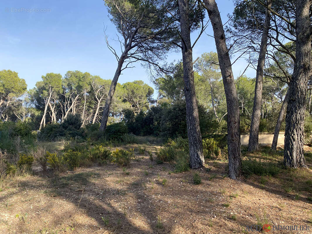 Terrain à VENTABREN