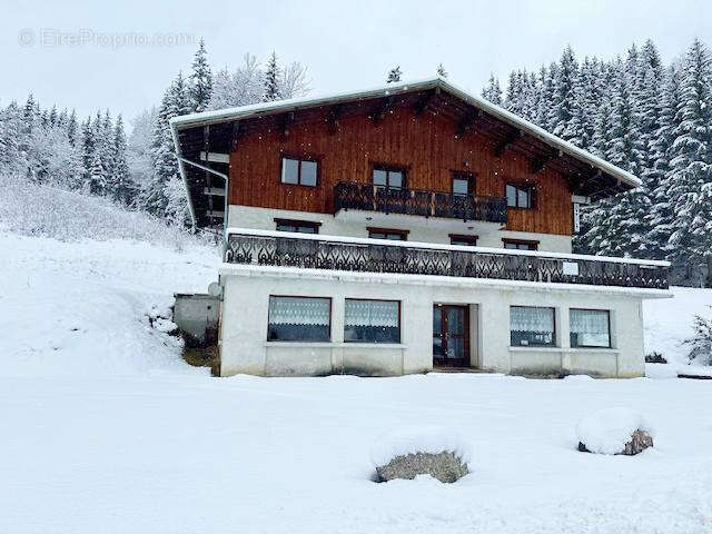 Commerce à BELLEVAUX