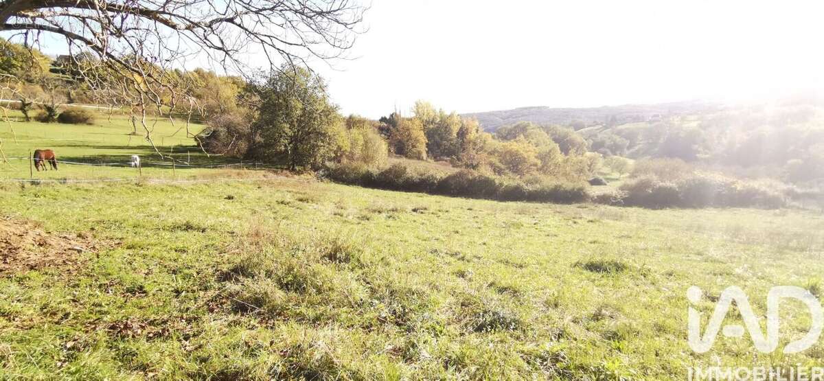 Terrain 4492 m² à Beauregard-De-Terrasson  - photo 3