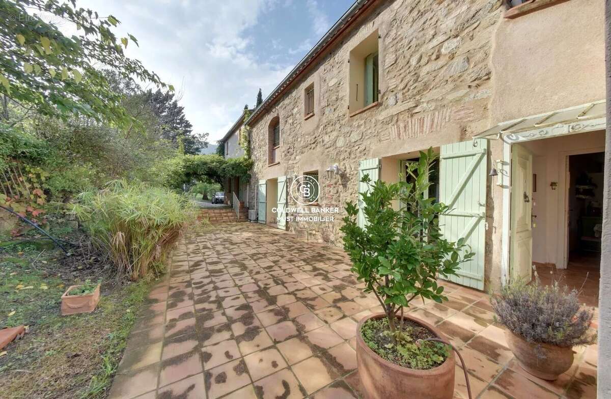 MAS de 295m2 Céret  vue Canigou sur près de 4 Ha - photo 3