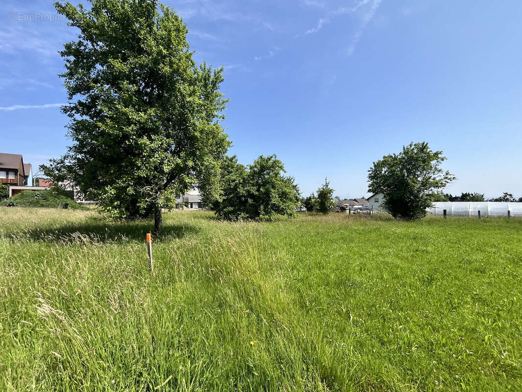 Folgensbourg au calme terrain constructible de 13,23 ares - photo 3