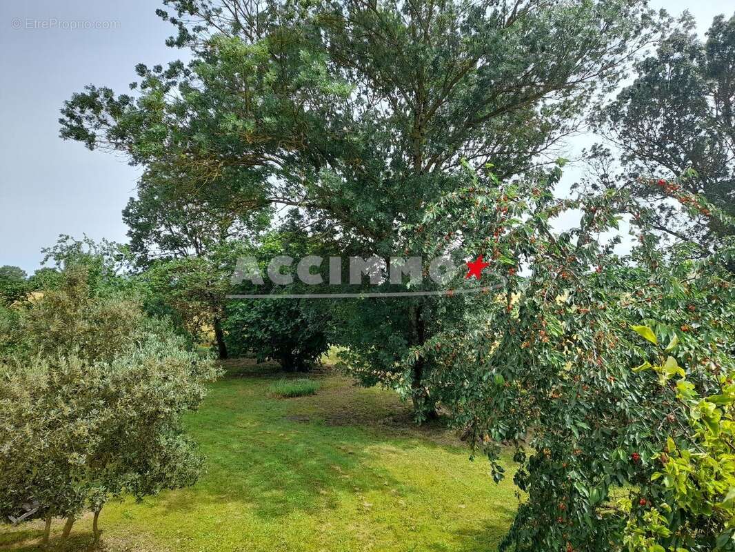 Saint-julia - maison avec jardin - photo 9