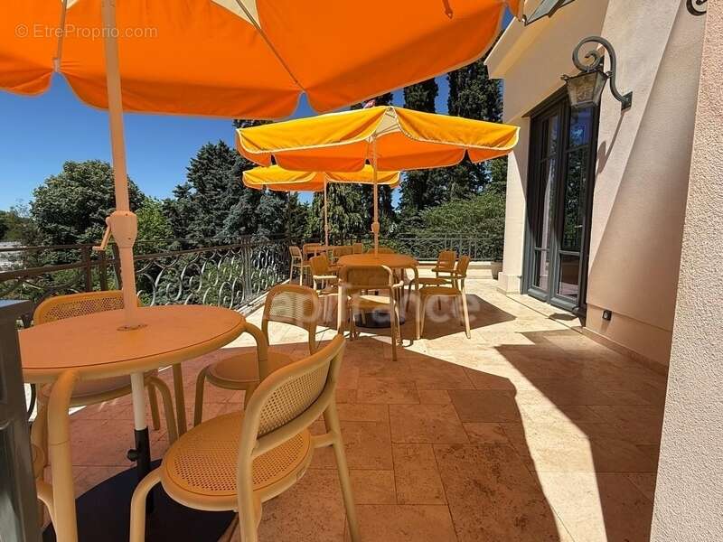 Maison bourgeoise 255 m² entièrement rénovée, parc clos et arboré de 4 303 m² (piscinable), 3 garages, terrasse, jacuzzi - photo 15