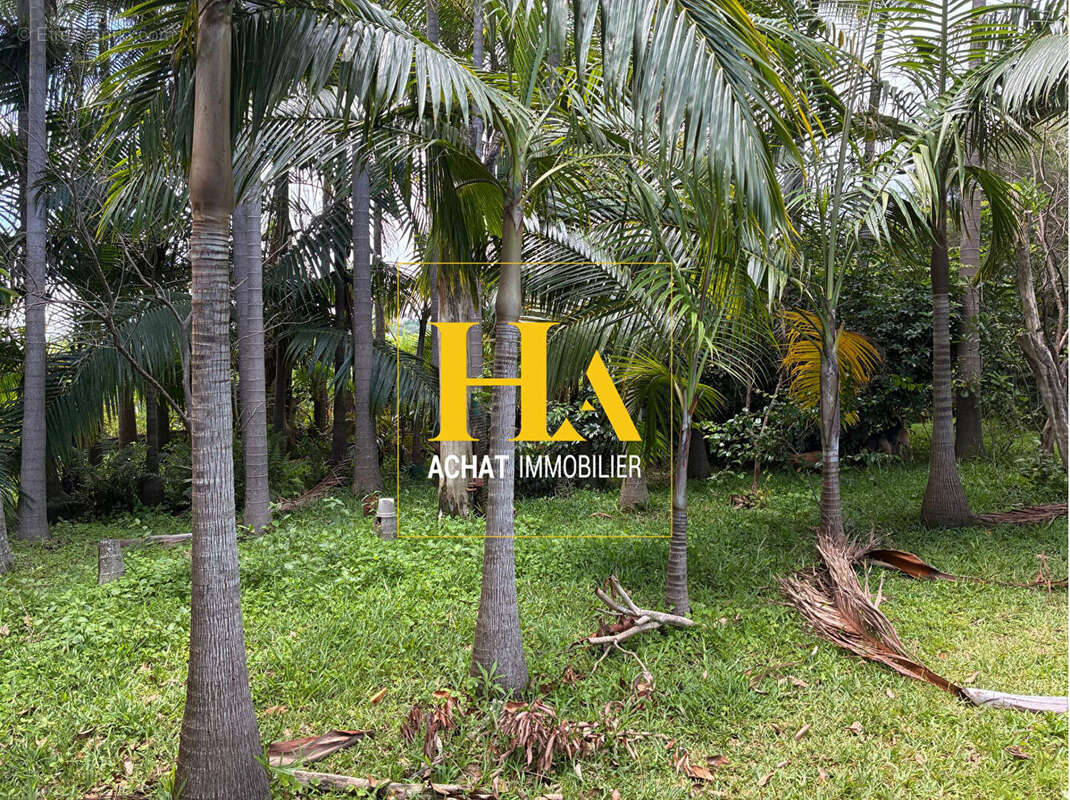 Maison à PETITE-ILE