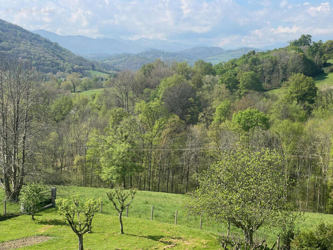 IMG_9102 - Maison à OLORON-SAINTE-MARIE