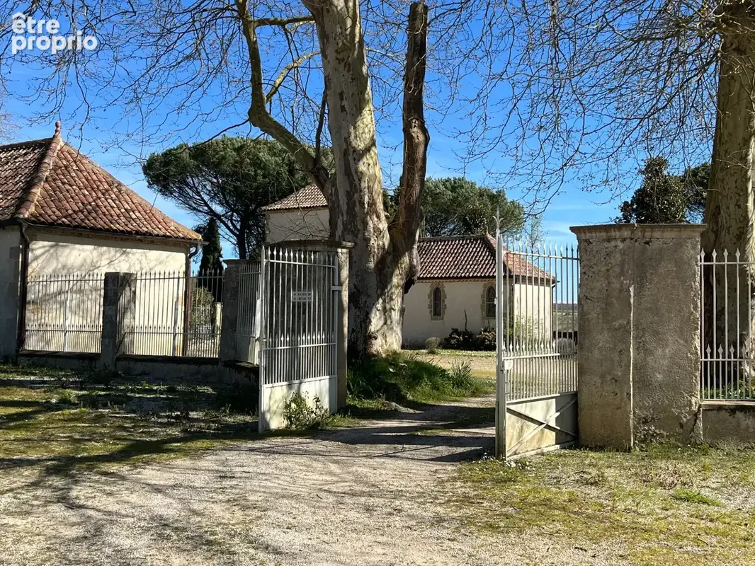 Élégant château du XIXᵉ siècle sur 70 ha, vue panoramique sur les Pyrénées, à 1h30 de Toulouse-Blagnac - photo 6
