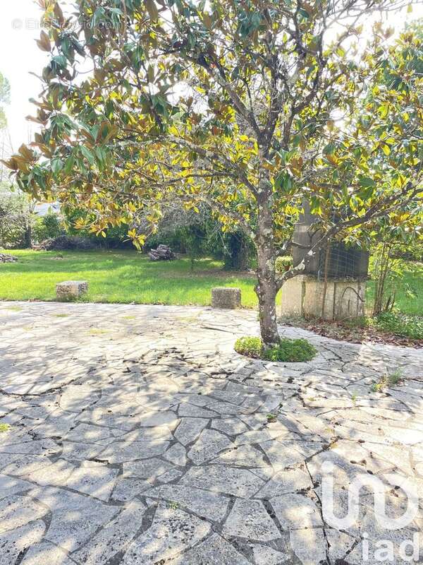 Photo 8 - Maison à MONTEILS