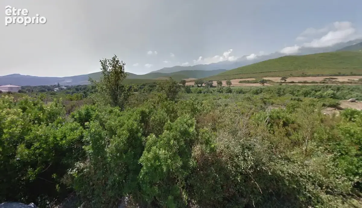 Terrain à PIETRACORBARA