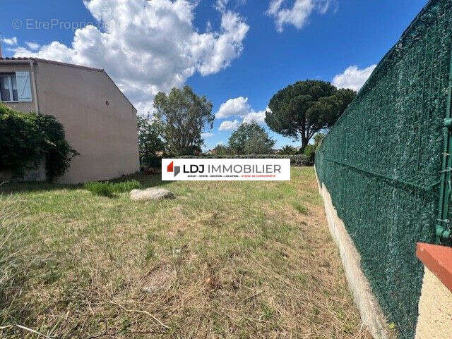 Terrain à LAROQUE-DES-ALBERES