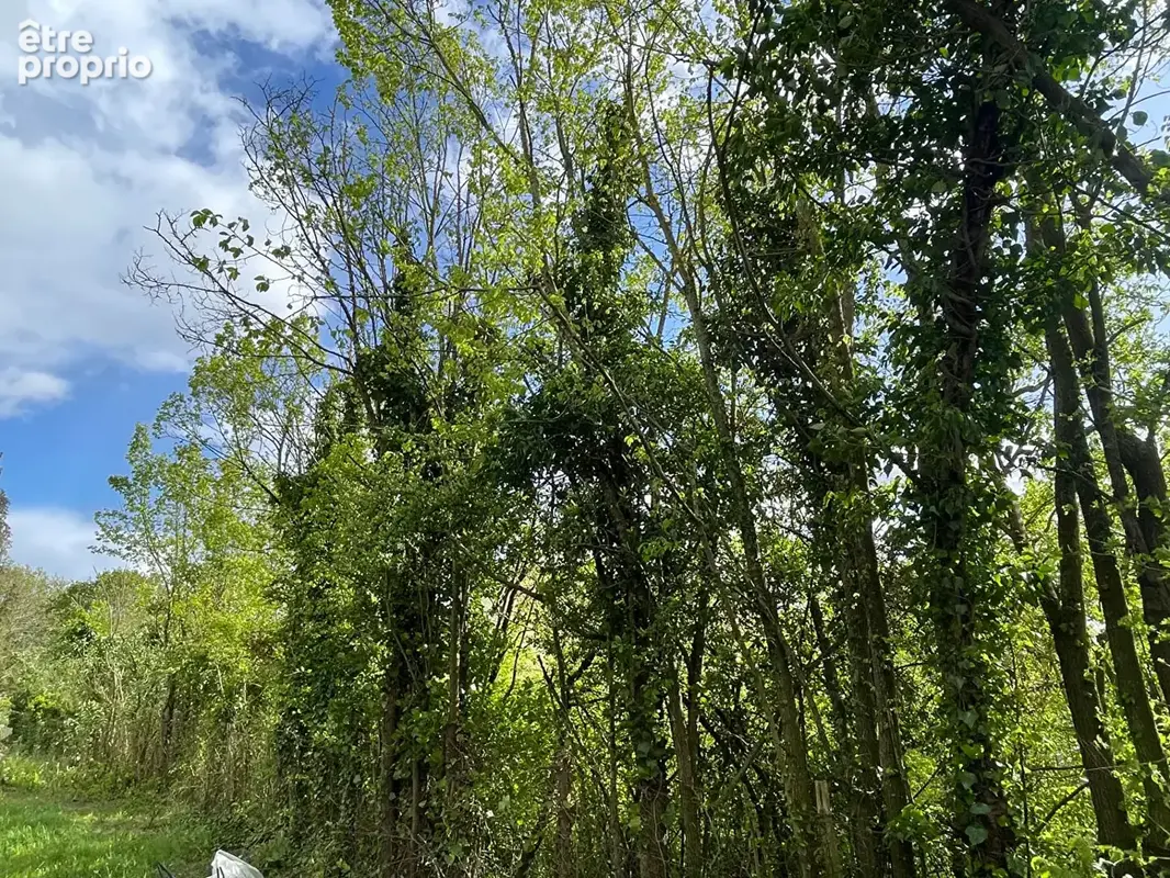 Terrain  constructible de 726 M² avec  environ 11 m de Façade à Epiais-Rhus 15 min de Pontoise - photo 6