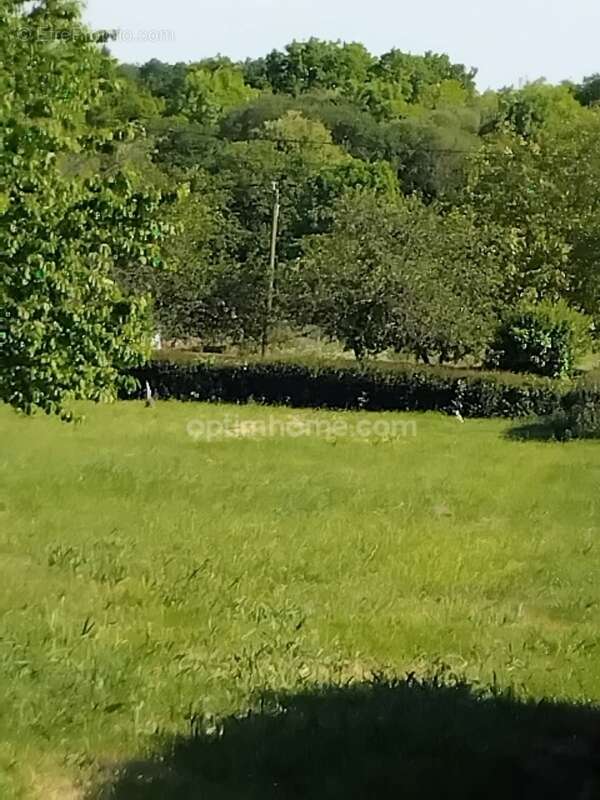 Terrain à SAINT-PIERRE-DE-PLESGUEN