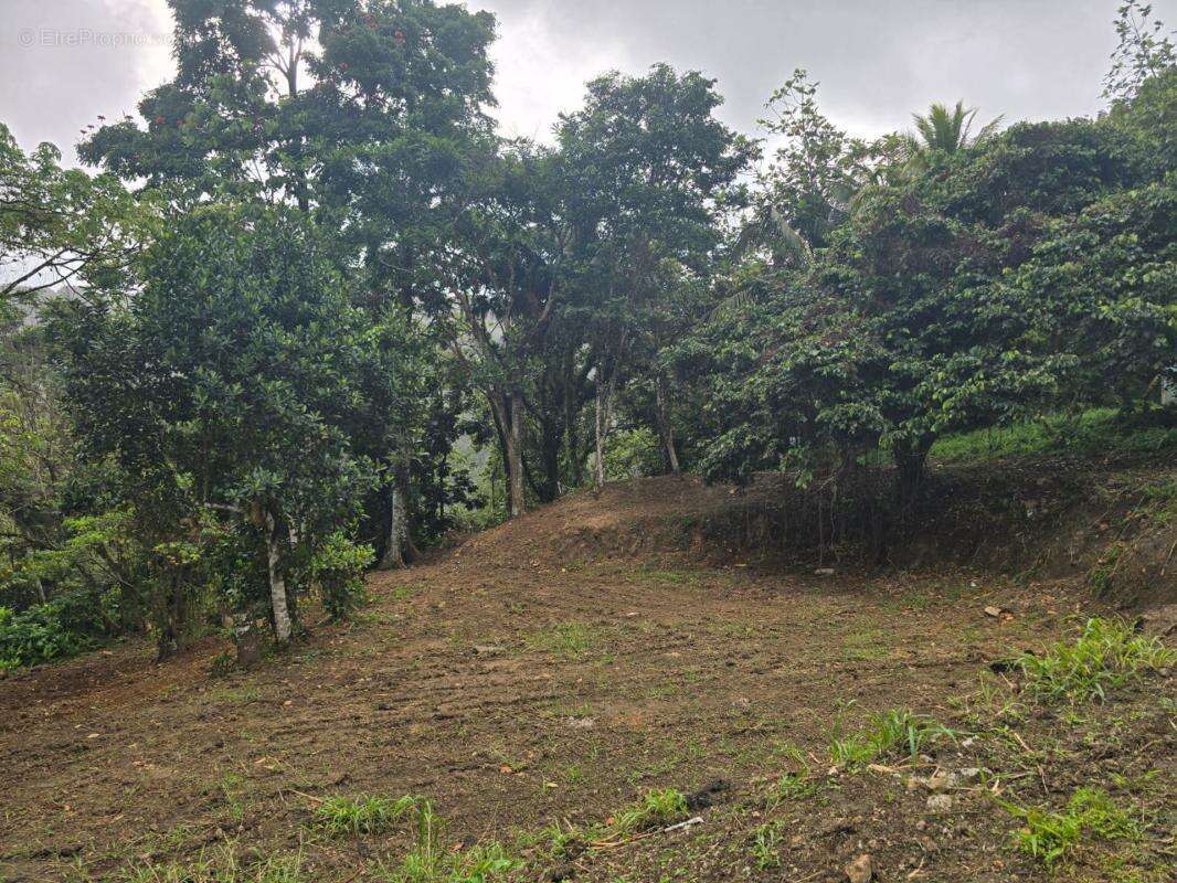 Terrain à FORT-DE-FRANCE