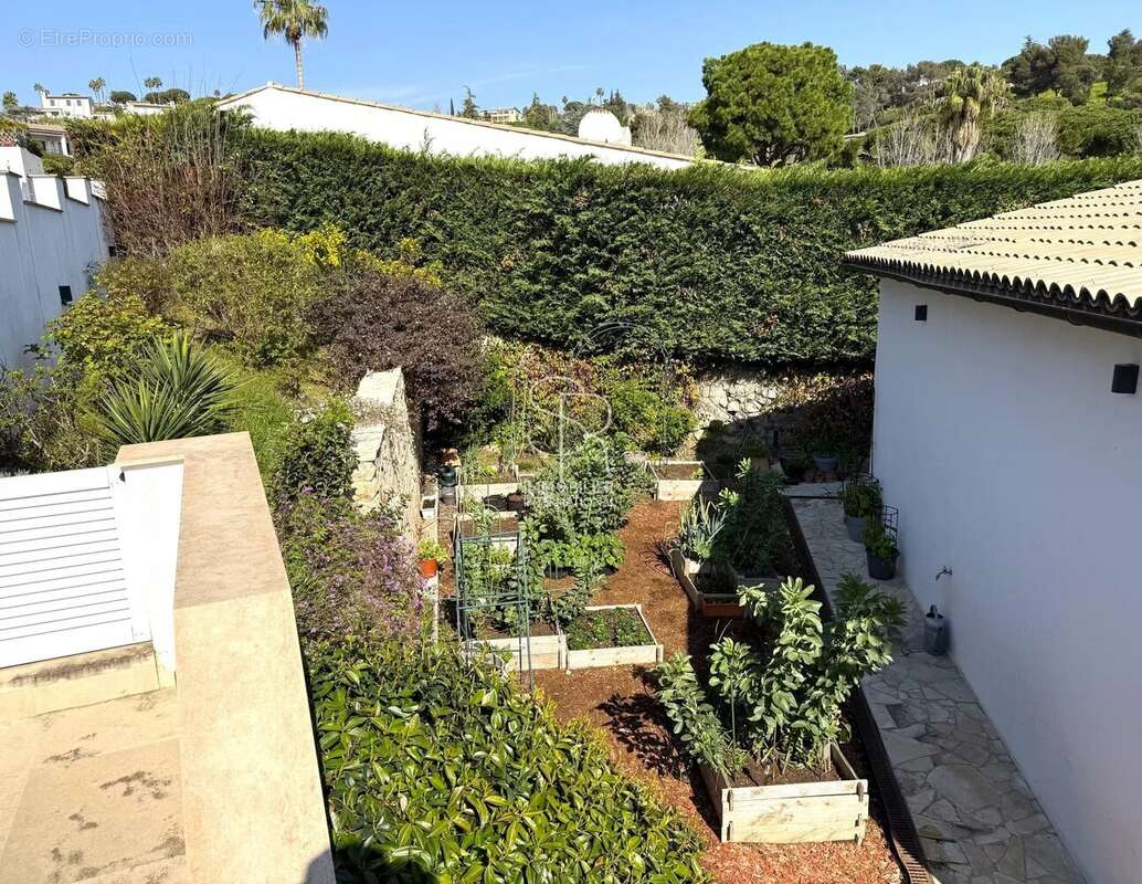 Maison à VILLENEUVE-LOUBET