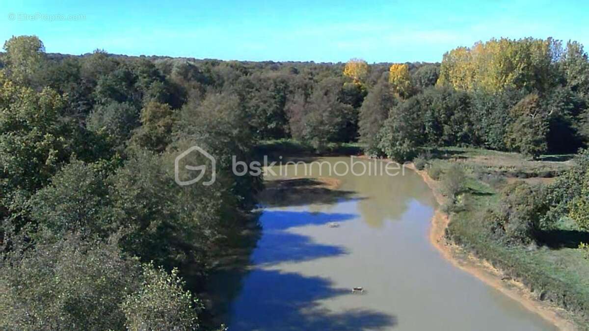 Terrain à SAINT-SAUVEUR-EN-PUISAYE