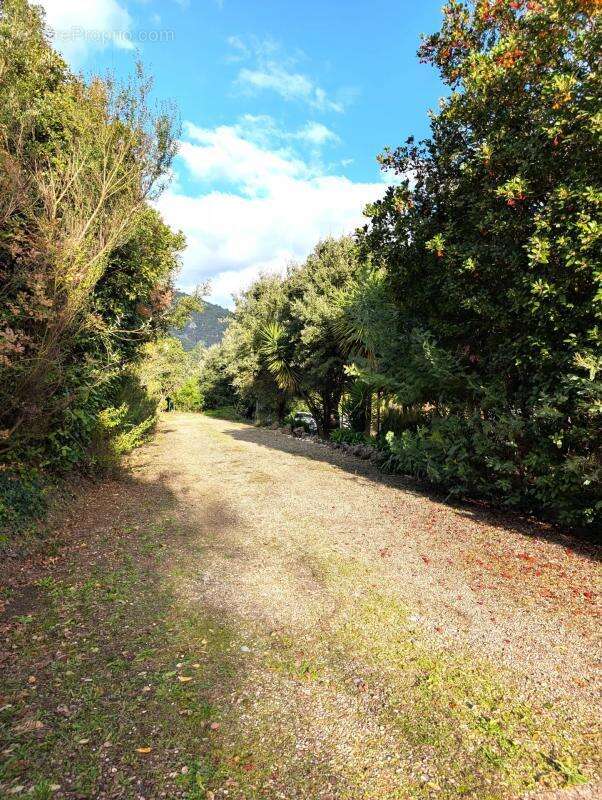 Maison à SANTA-MARIA-POGGIO