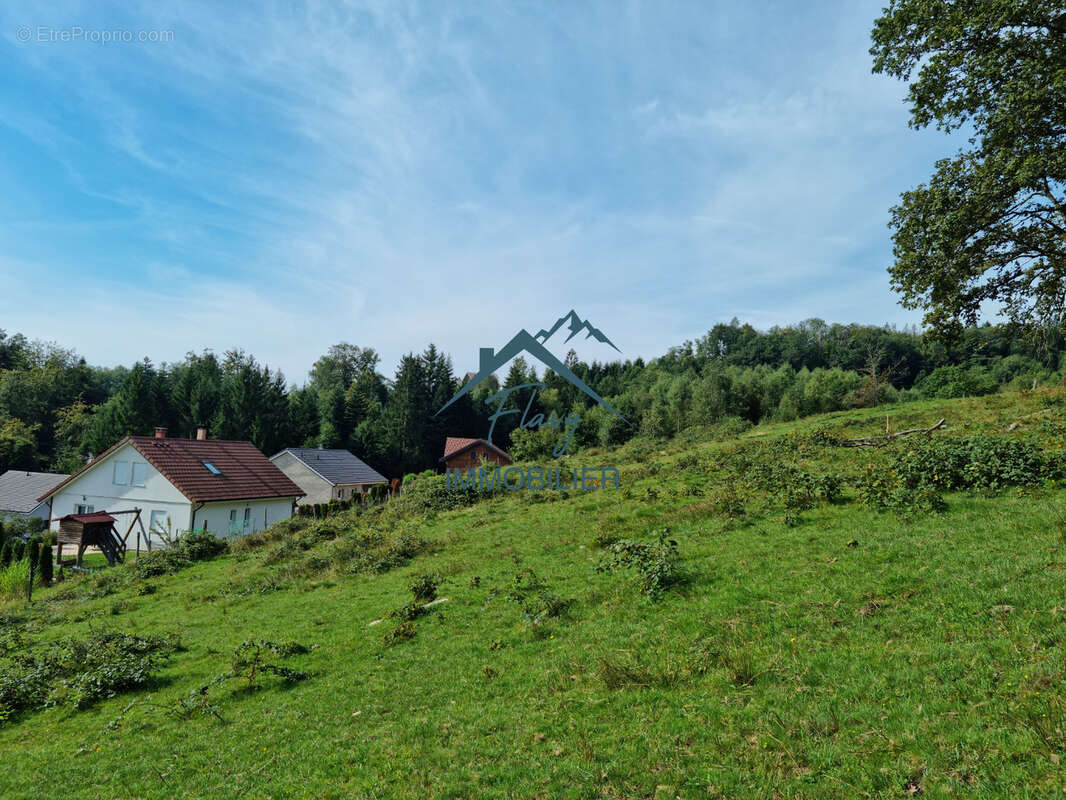 Terrain de 8385 m2 dont 3542m2 constructible - 15min de Gérardmer - photo 3