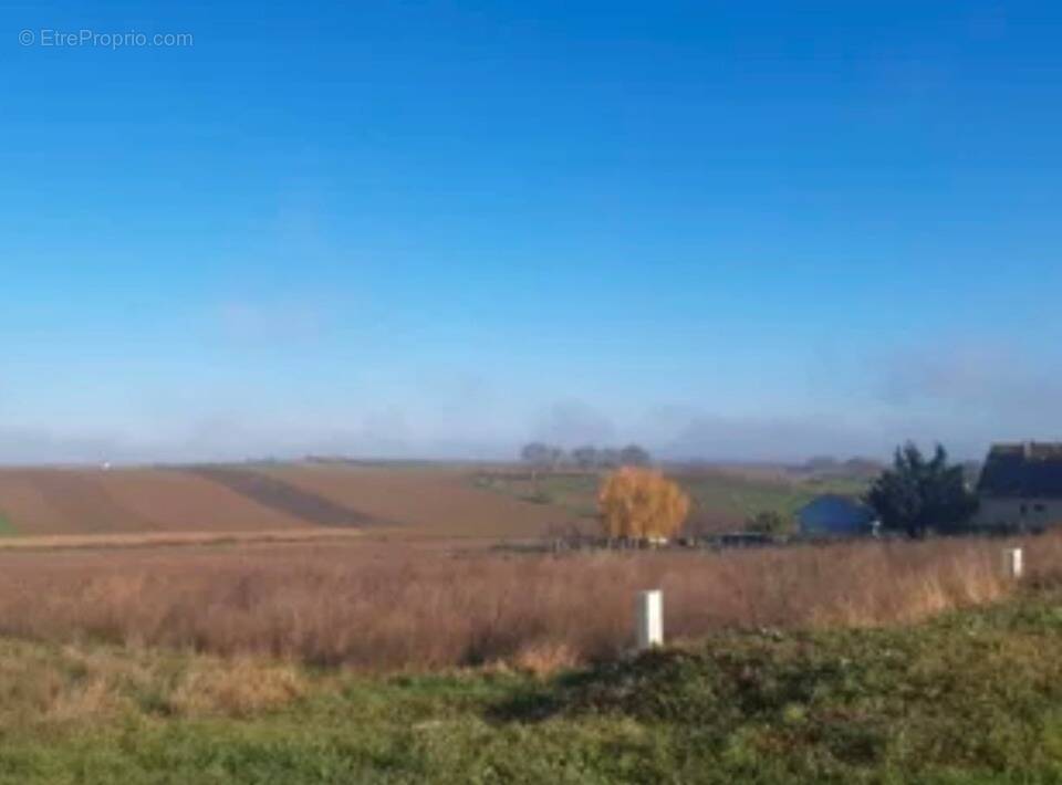 Terrain à ARLEUX