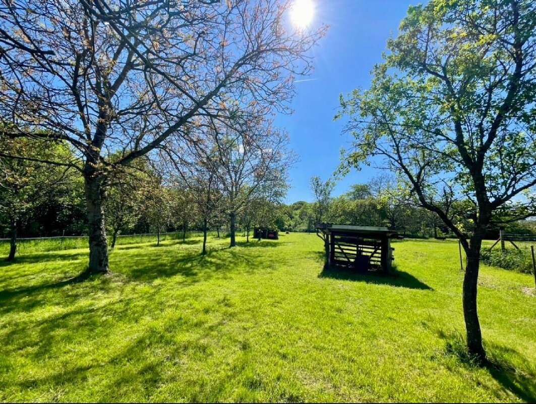 Maison à FAREBERSVILLER