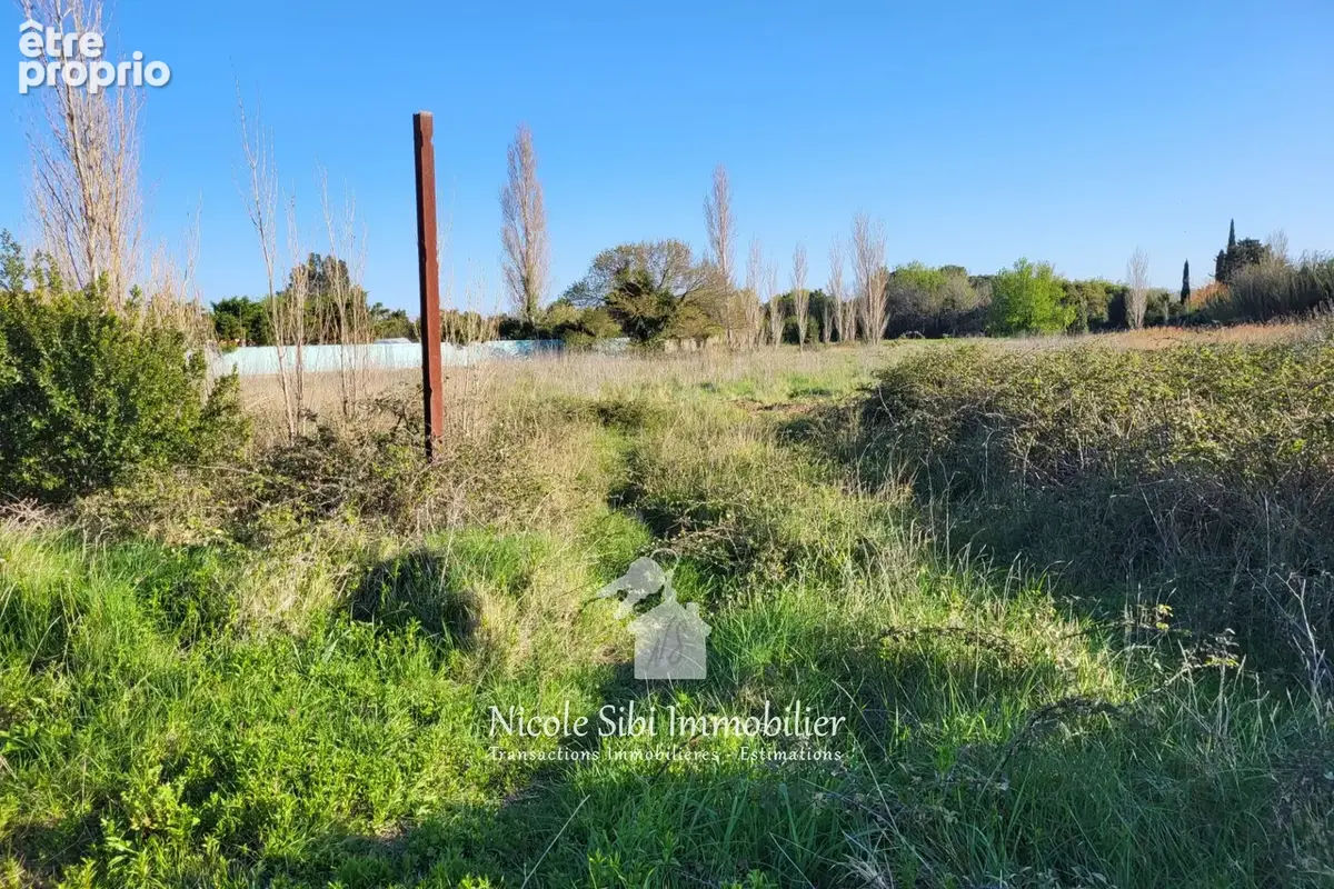 Terrain 1 600 m² à vendre à Saint-Hippolyte (66510) - photo 6