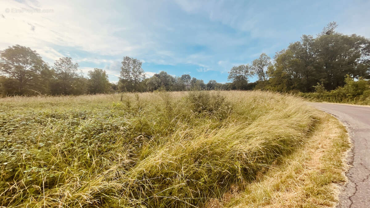 Terrain de loisirs de 2880 m2 avec vue dégagée sur la nature 18 000 € - photo 5