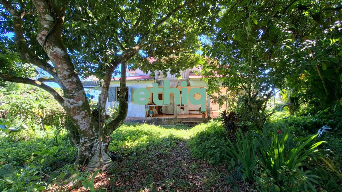 Maison à CAPESTERRE-BELLE-EAU