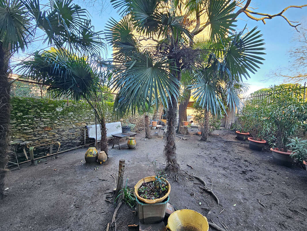 Maison à CARCASSONNE