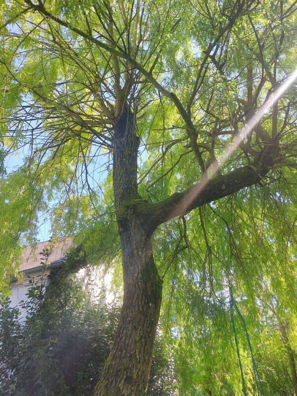 Maison à SAINT-GERMAIN-DES-BOIS