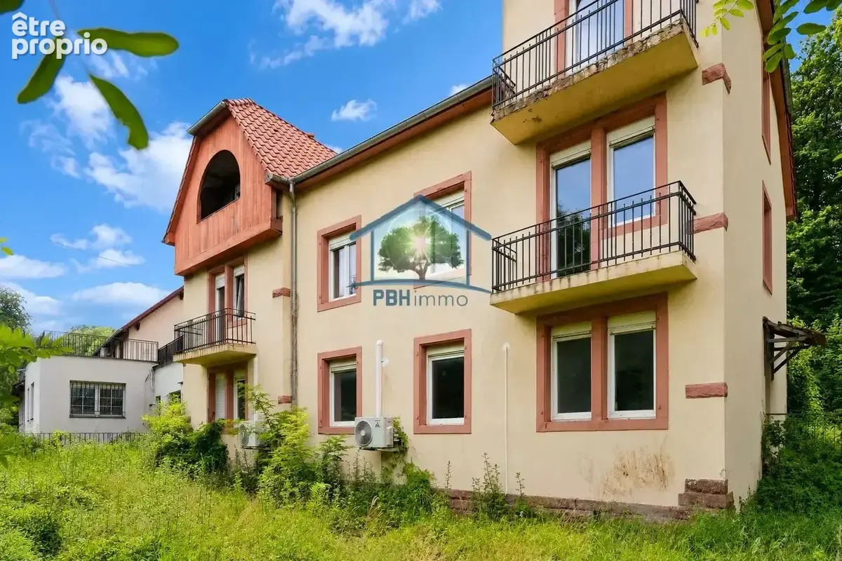 OTTERSTHAL (67) - Propriété 21 pièces 787m²  sur 50,95 ares - photo 3
