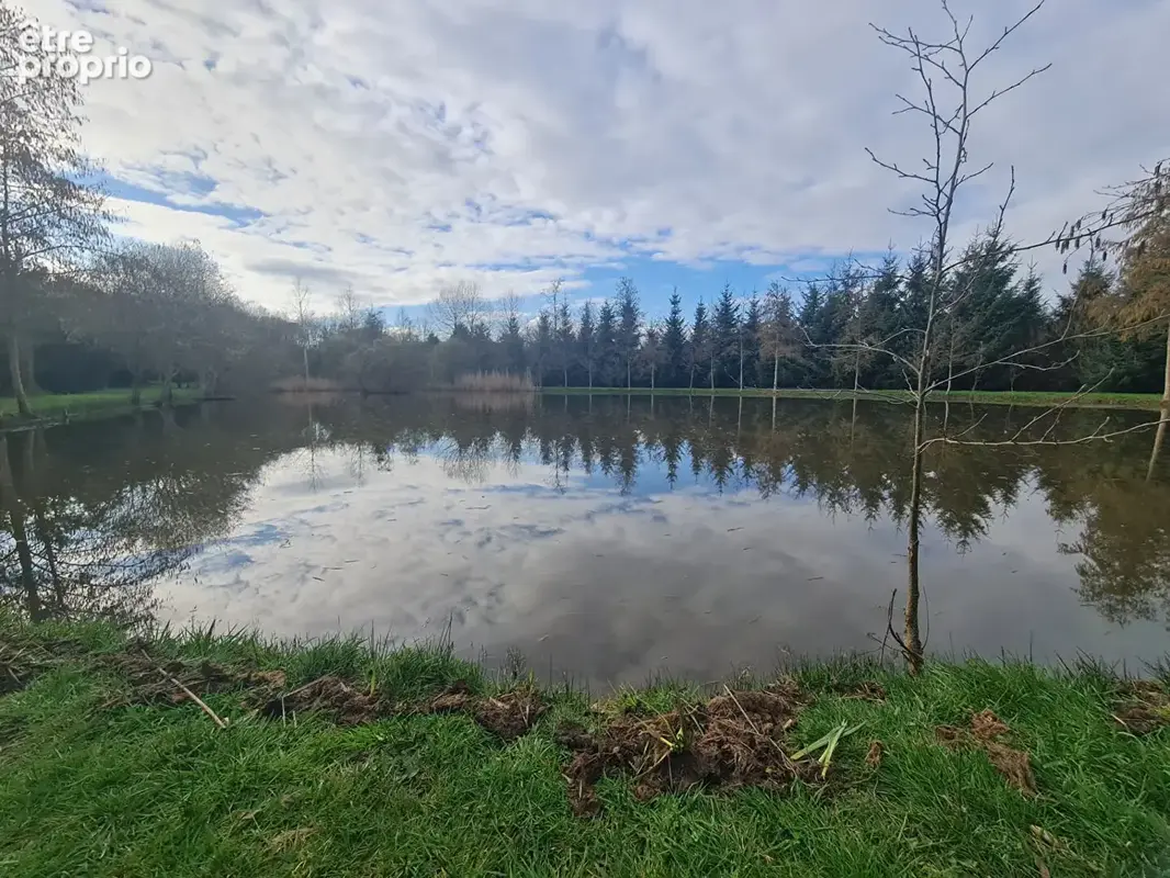 Plan d'eau et bois sur 47 800 m²  -  sortie d'alencon - photo 4