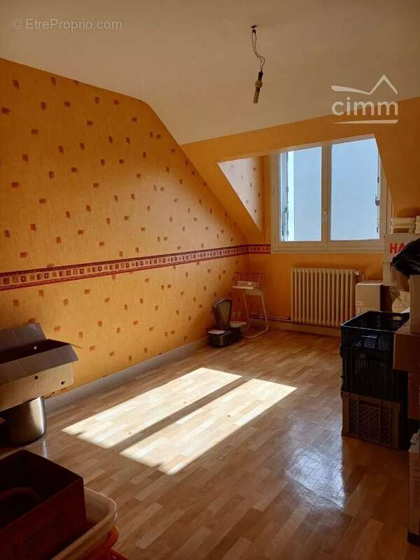 Commerce à SOINGS-EN-SOLOGNE