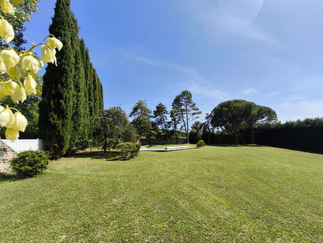 Drome des collines. bien d'exception. restaure en totalite sur 220m2. parc arbore 5000m2. piscine . dependance - photo 4