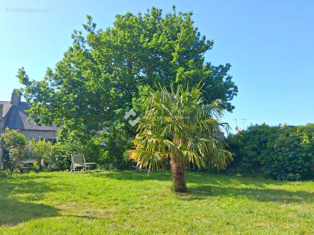 Maison à QUINTIN