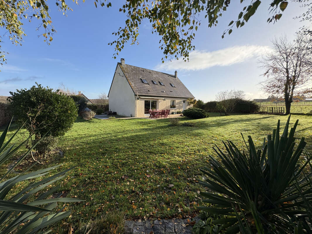 Maison à AMFREVILLE-LES-CHAMPS