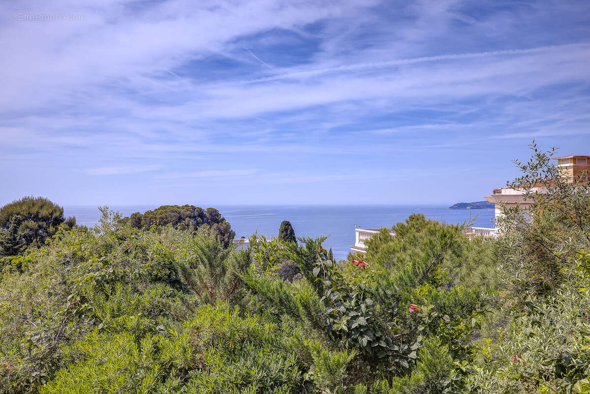 Maison à CAP-D&#039;AIL