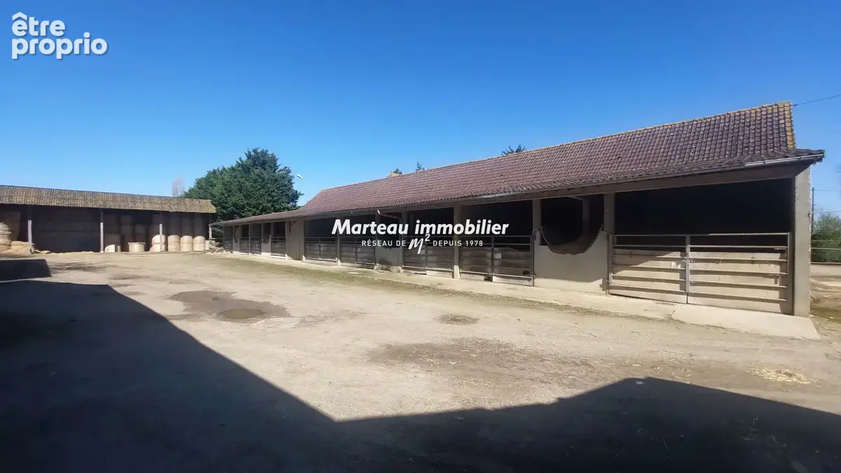Propriété équestre à quelques kilomètres de Sablé-sur-Sarthe - photo 5