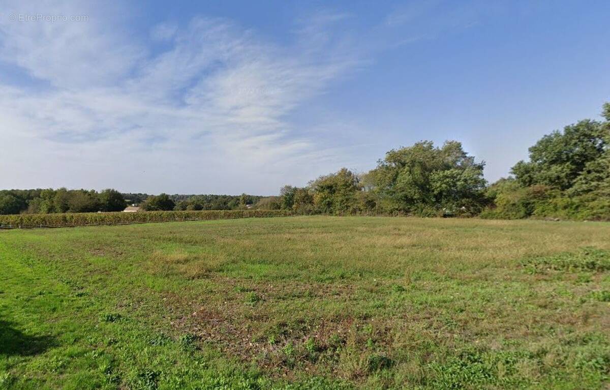 Terrain à ECOYEUX