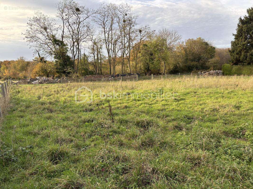 Terrain clos, constructible, viabilisé de 1300m² - photo 2