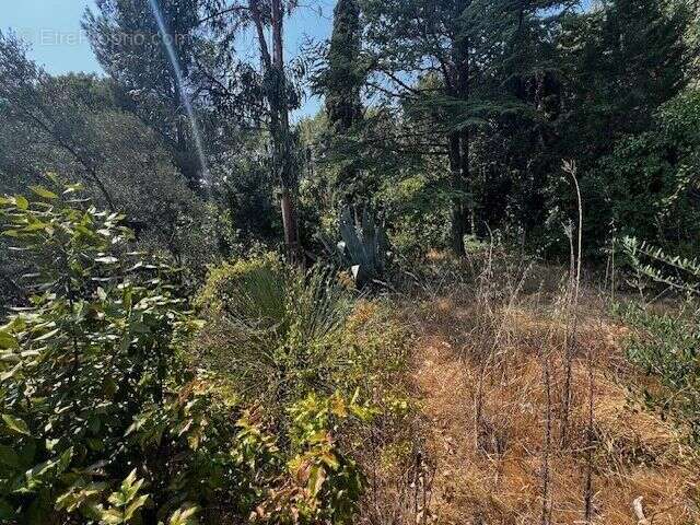 Vente Maison Lodeve(34700) 245 000ï¿œ - photo 7