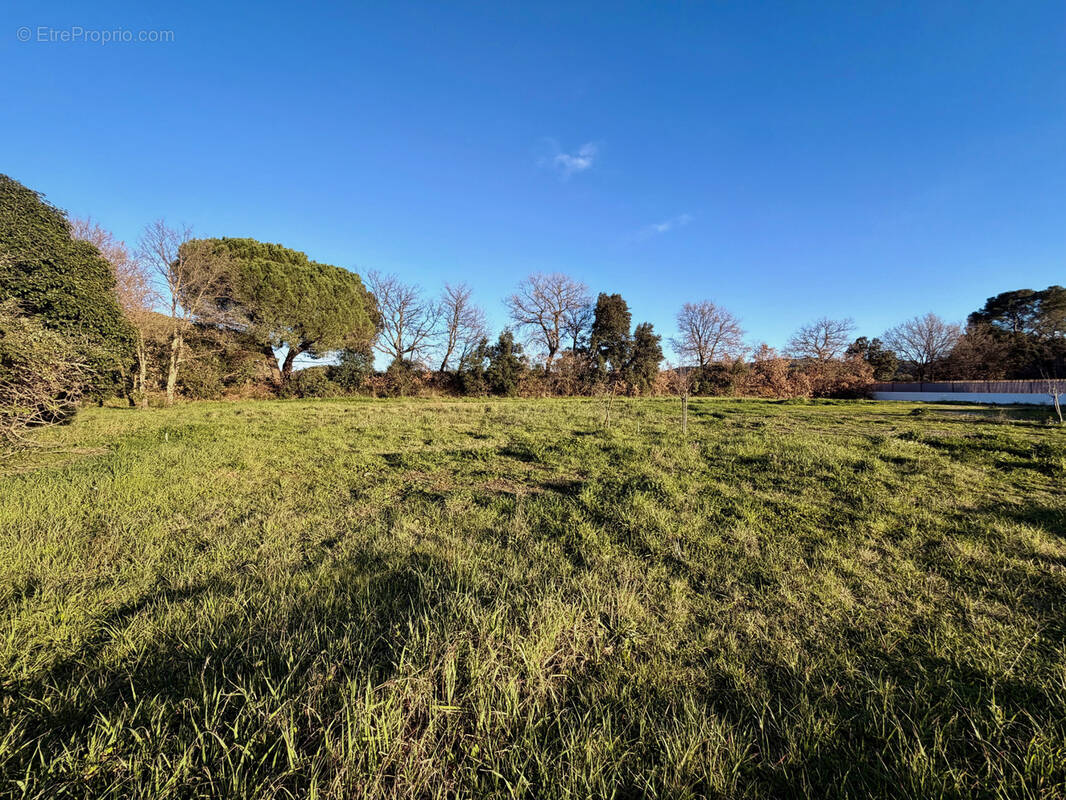 Terrain à PIERREFEU-DU-VAR