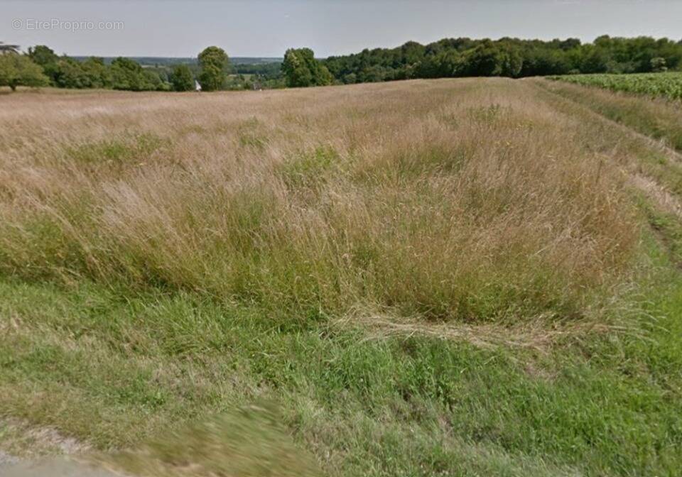 Terrain à MOSNES