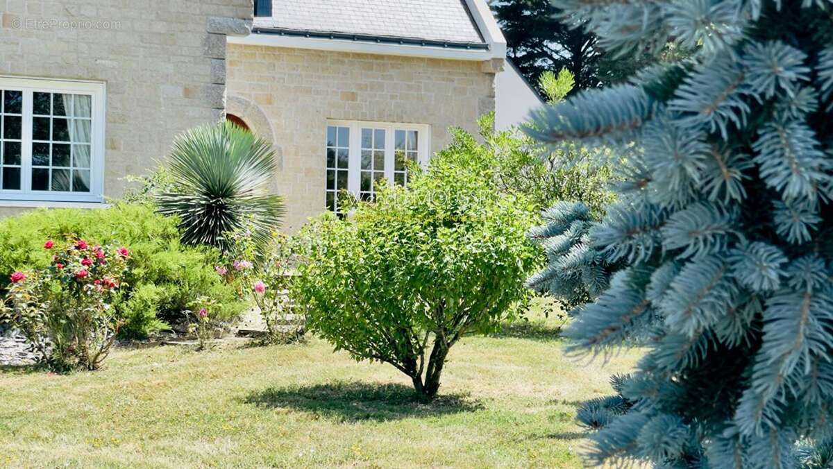 Maison à LE TOUR-DU-PARC