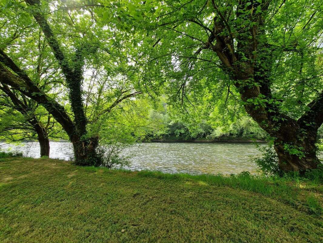 Propriété avec Maison d'habitation, Maison d'amis, Studio, Piscine, parc et jardin 7418m2 jusqu'à la rivière. - photo 18