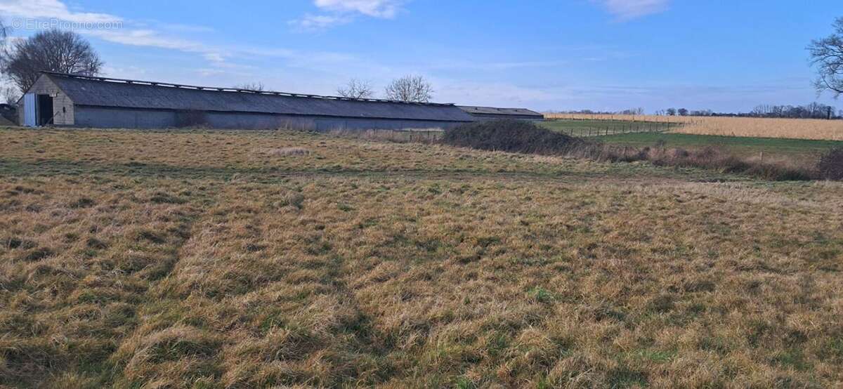 Maison à BONCHAMP-LES-LAVAL