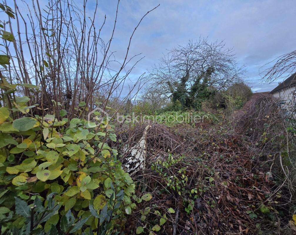Maison à BRAY-SUR-SEINE