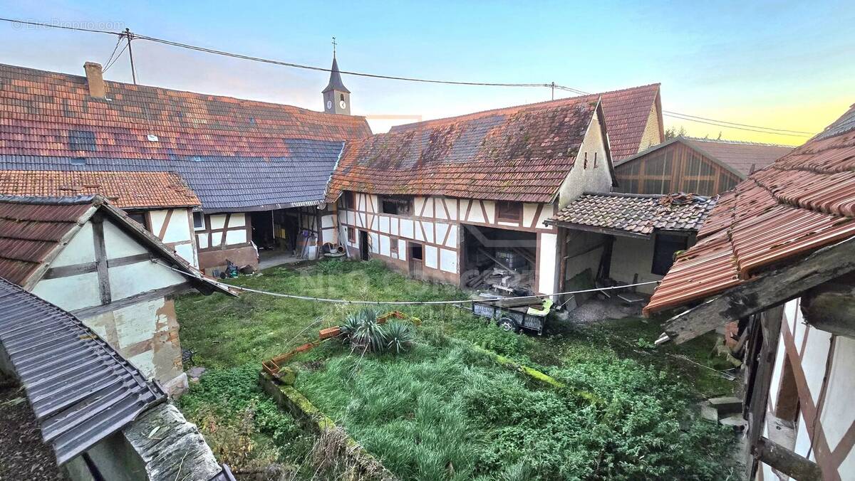 Maison à WINTZENBACH