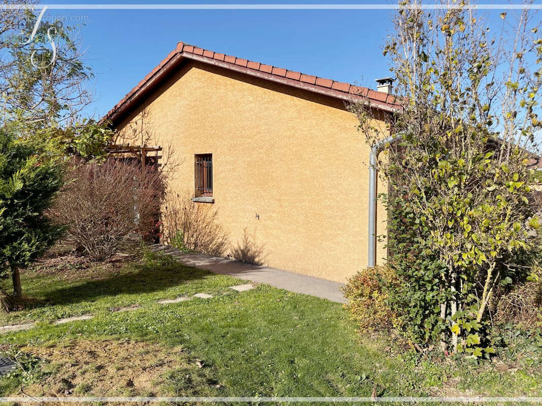 Maison à SAINT-ANDRE-SUR-VIEUX-JONC