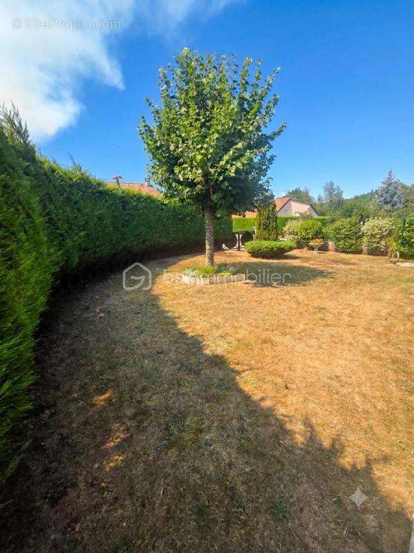 Une exclusivité à saisir ! - photo 3