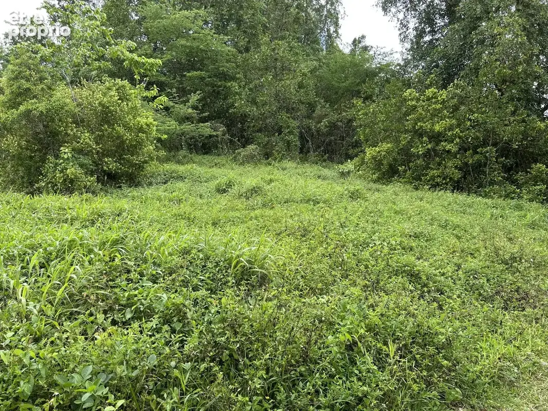 Terrain constructible 650 m² — Beau Soleil, Les Abymes — Grands Fonds, secteur calme - photo 7