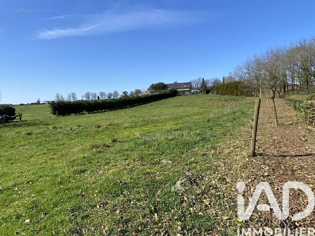 Photo 3 - Terrain à CHABRIGNAC